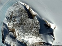 mongolo